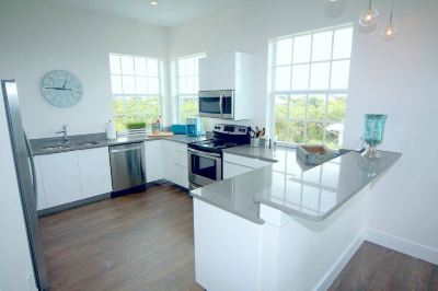 Other Ponce de Leon Photo