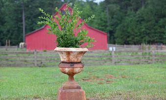 a rusty urn with a plant growing in it is sitting in the grass next to a red barn at Coulter Farmstead