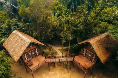 Our Jungle House