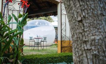 Glamping Amate - Hotel Burbuja