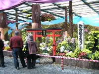 Myogaya House Hotels in Yahiko