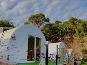 Evergreen Glamping