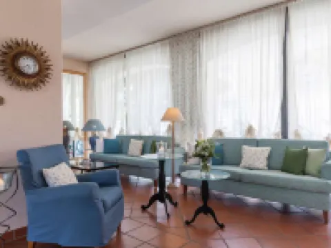 Boutique-Hotel Remorino, a Private Selection Hotel Hotels in Minusio