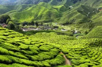 Sekata Apartment Hotels in Ringlet