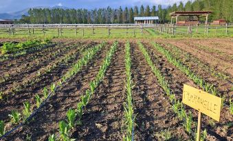 Family Farm Soc. Agricola - Agriturismo