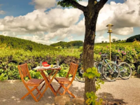 H+ Willingen Hotels in Waldeck-Frankenberg