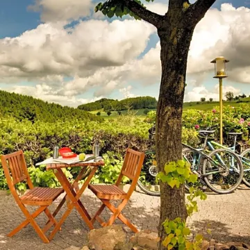 H+ Willingen