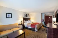 Comfort Inn & Suites Cambridge Hotels in Cambridge