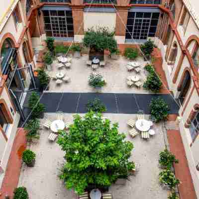Ibis Styles Toulouse Centre Capitole Hotel Exterior