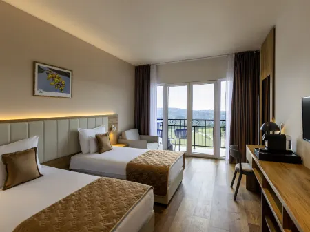 Movenpick Resort and Spa Fruske Terme