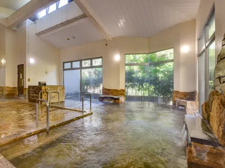 Ichinose - Calcium Carbonate Hot Spring in Susono Отели в г. Сусоно