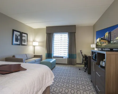 Hampton Inn Greenville/I-385 Haywood Mall Hotels near Fluor Field