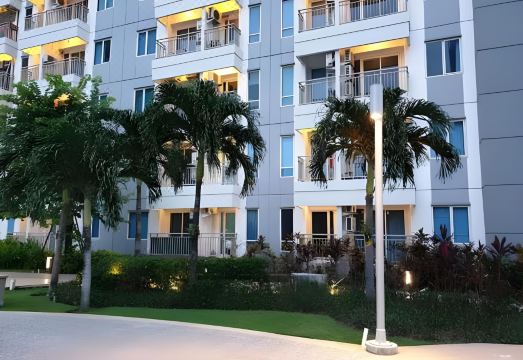 3. 코스미 탕린 아..