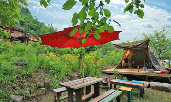 평창 돌배나무세그루펜션