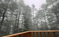 Hotel Pine Heritage Hotels in Patnitop