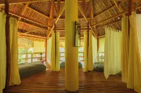 Water to Forest Ecolodge Hotels near ZIP LINE