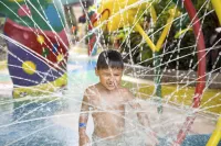 Hilton Garden Inn Dothan - Family