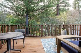 Family-friendly Modern Cozy Downtown Mill Valley Unit in San Francisco Bay Area