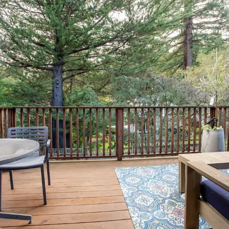 Family-friendly Modern Cozy Downtown Mill Valley Unit in San Francisco Bay Area