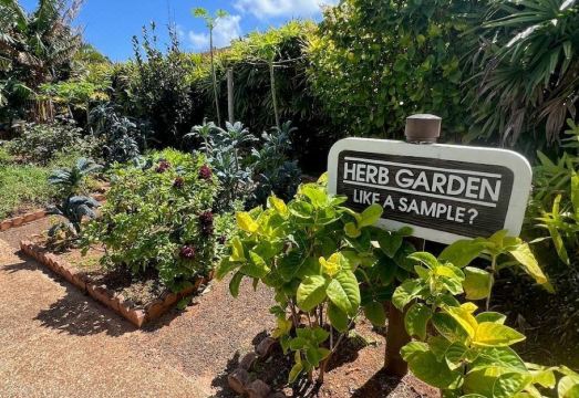 A Welcoming Beachfront 2BR/2BA