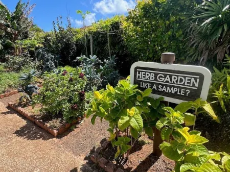 A Welcoming Beachfront 2BR/2BA, Vacation Home, W/D, AC, STEPS TO BEACH!