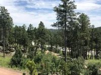 8 miles to Mount Rushmore - Sleeps 2 to 6 Hotels in Mount Rushmore UT