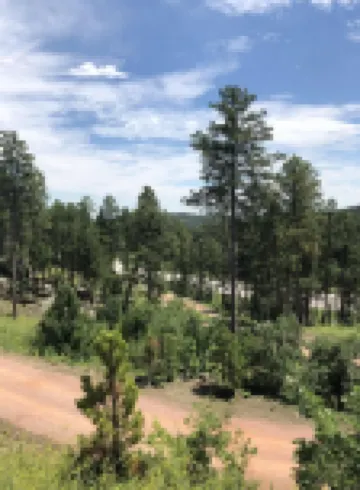 8 miles to Mount Rushmore - Sleeps 2 to 6