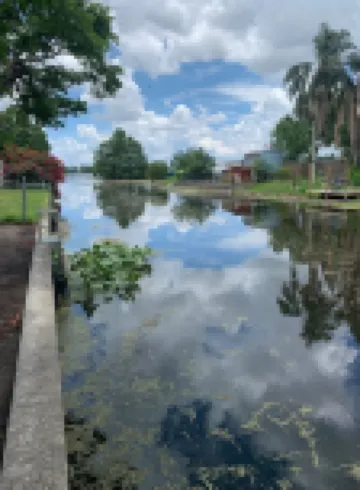 Cozy Canal Cottage waterfront, nature experience. 15 minutes to the beaches.