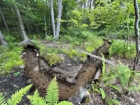 European inspired 3-bedroom house in peaceful Spring Lake