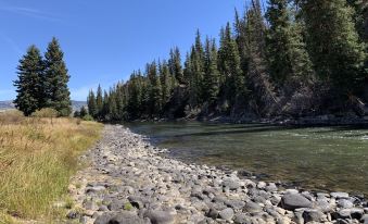 Cabin on the Rio Grande River With - 0226n12000i0kt4eq66ED R 339 206 R5 D