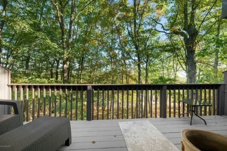 Camelback walk out onto the slopes