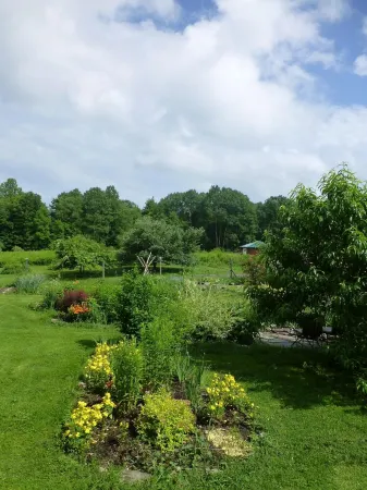 One-Of-A-Kind Yurt Surrounded by Waterfalls