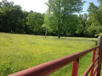 Secluded Farm near Bennett Springs State Park, 66 Robin Ln Tunas, MO 65764