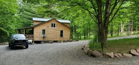 Newly built cabin in cozy wooded setting