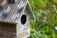 "Second home" Oldsum Oldsum 호텔