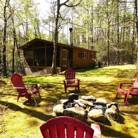 Quiet cabin in the woods, only 10 min from downtown Helen