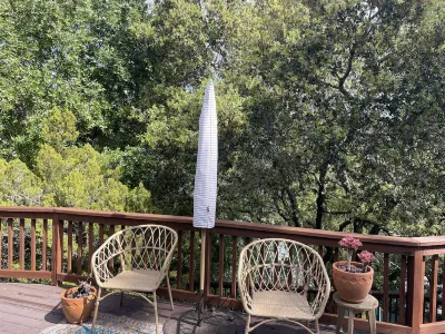 Light filled, tree house, surrounded by nature. 7 minute walk from downtown. Hotels near Samuel P Taylor State Park