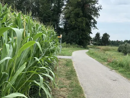 Comfortable living near the trade fair. Отели рядом с достопримечательностью «Бодензе»