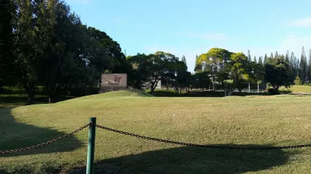 Enjoy Vintage Hawaiiana! Napili Maui Awaits!Free Reserved Parking Spot for Unit