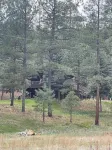 Cozy Weekend Getaway! Enjoy many things in the surrounding area!