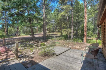Charming Cabin on Dream Property