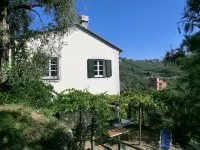 Lovingly Restored Country Farm House in Olive Grove 10 minutes from sea Hotels in Chiavari