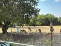 Mama’s House Hotels in Bosque County