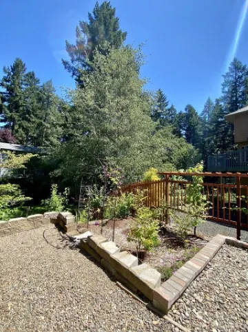 Modern, Spacious, and Private 1BR Suite