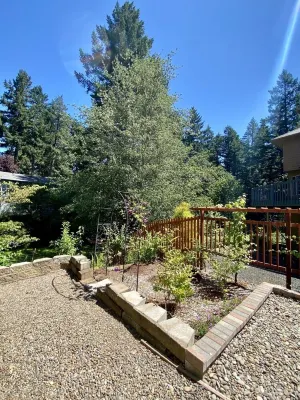 Modern, Spacious, and Private 1BR Suite