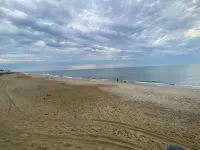 Koko’s Cabana- Walk to Everything!  Beach, Shopping, Restaurants, Mini Golf 킬데빌힐스 호텔