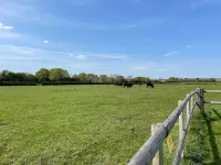 'Summer Time' at the Hut on a Working Farm by the South Coast