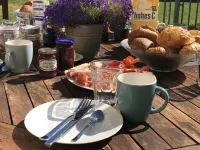Farmhouse from 1869 with modern ambience, free WLAN, oven and large garden - Wifi