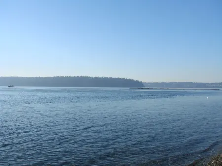 Clam Cove Cottage on South Vashon Island Beachfront Отели рядом с достопримечательностью «Lavender Hills Farm»