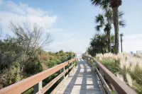 Steps from the pool and ocean! Four-level East Beach townhome with elevator!